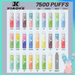 【NEW】WAGOO 哇酷6500口抛棄式電子煙 雙芯組合自由搭配